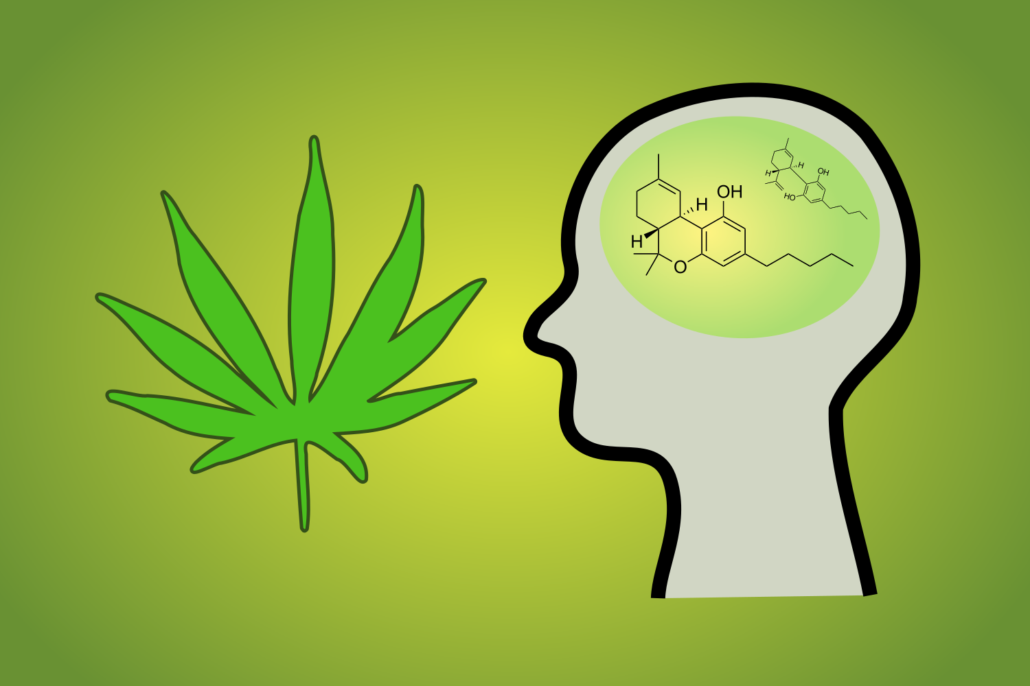 Silhouette Cannabis THC and CBD