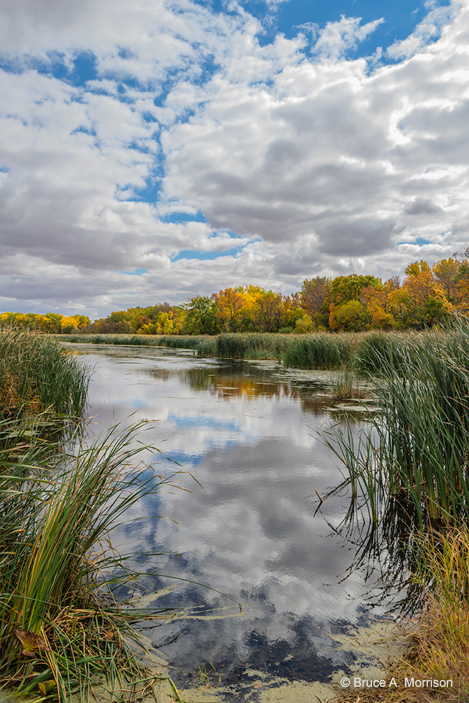 "Autumn at Hales Slough" - photograph - © Bruce A. Morrison