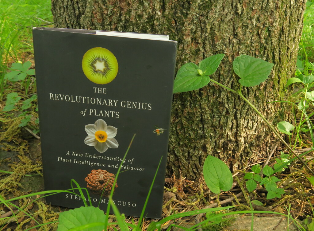 Book review The Revolutionary Genius of Plants Bleeding Heartland
