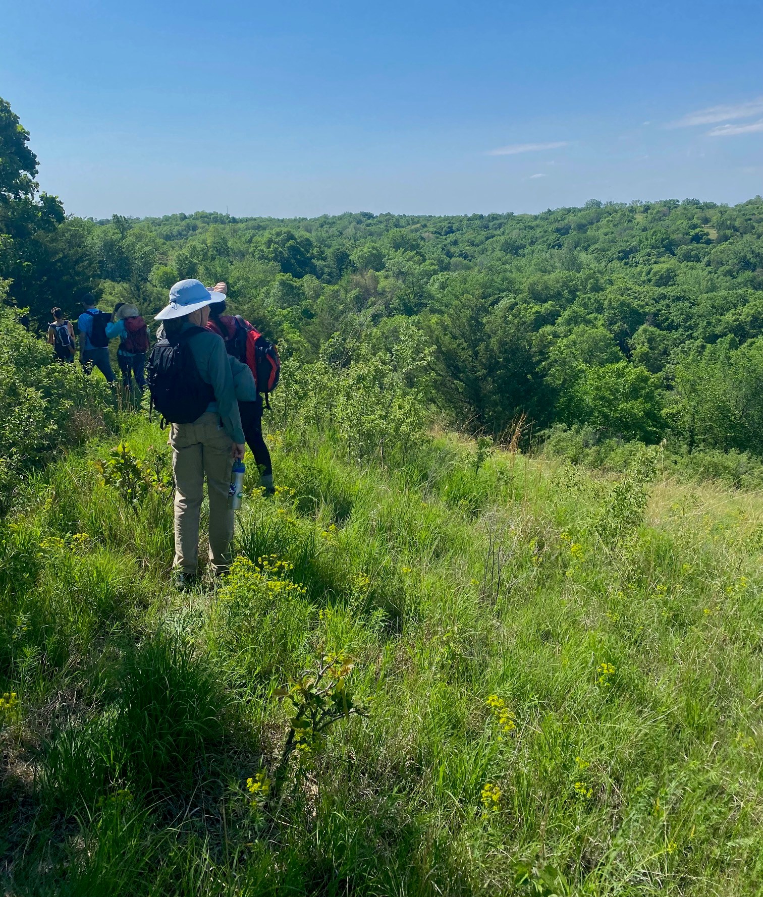 Experiencing Iowa's beautiful northern Loess Hills on foot