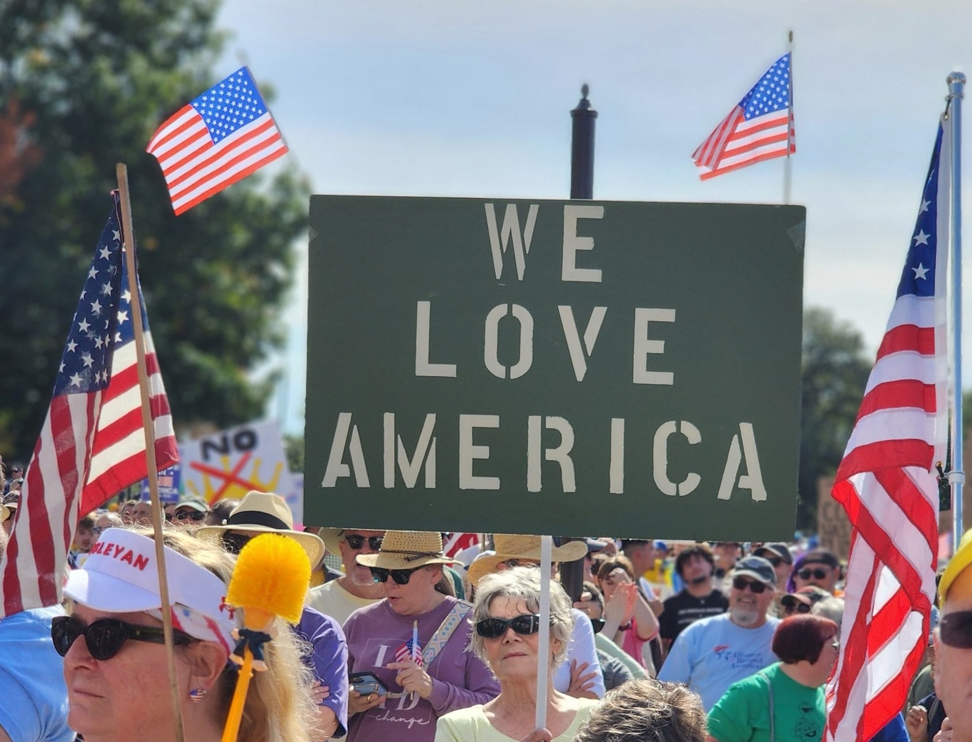 Hand-made sign at No Kings rally in Des Moines on October 18, 2025: 